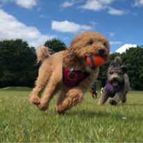 Biccie and Jim